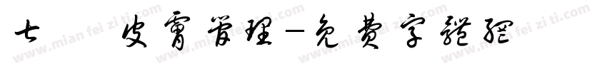 七玥 皮肤管理字体转换